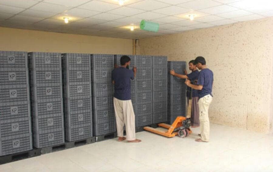 Hira Brand Gallery 27