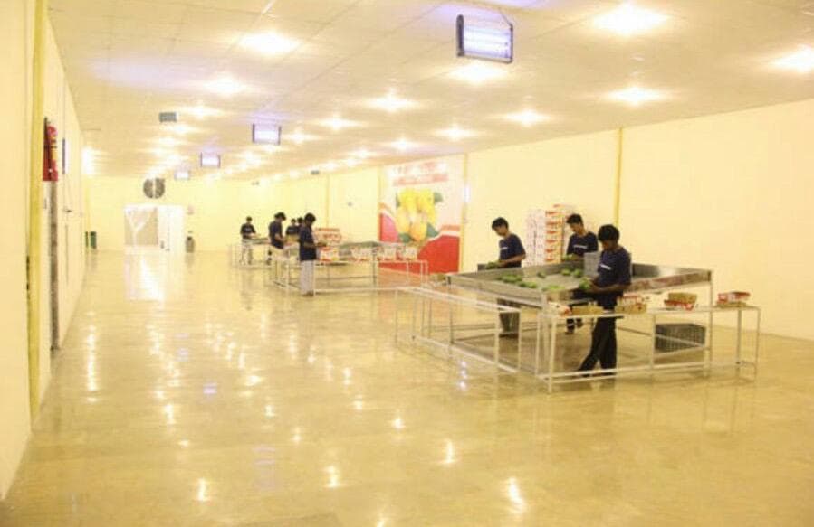 Hira Brand Gallery 25