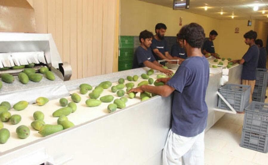 Hira Brand Gallery 23