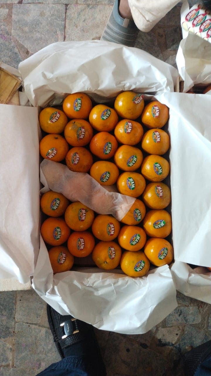 Hira Brand Gallery 22