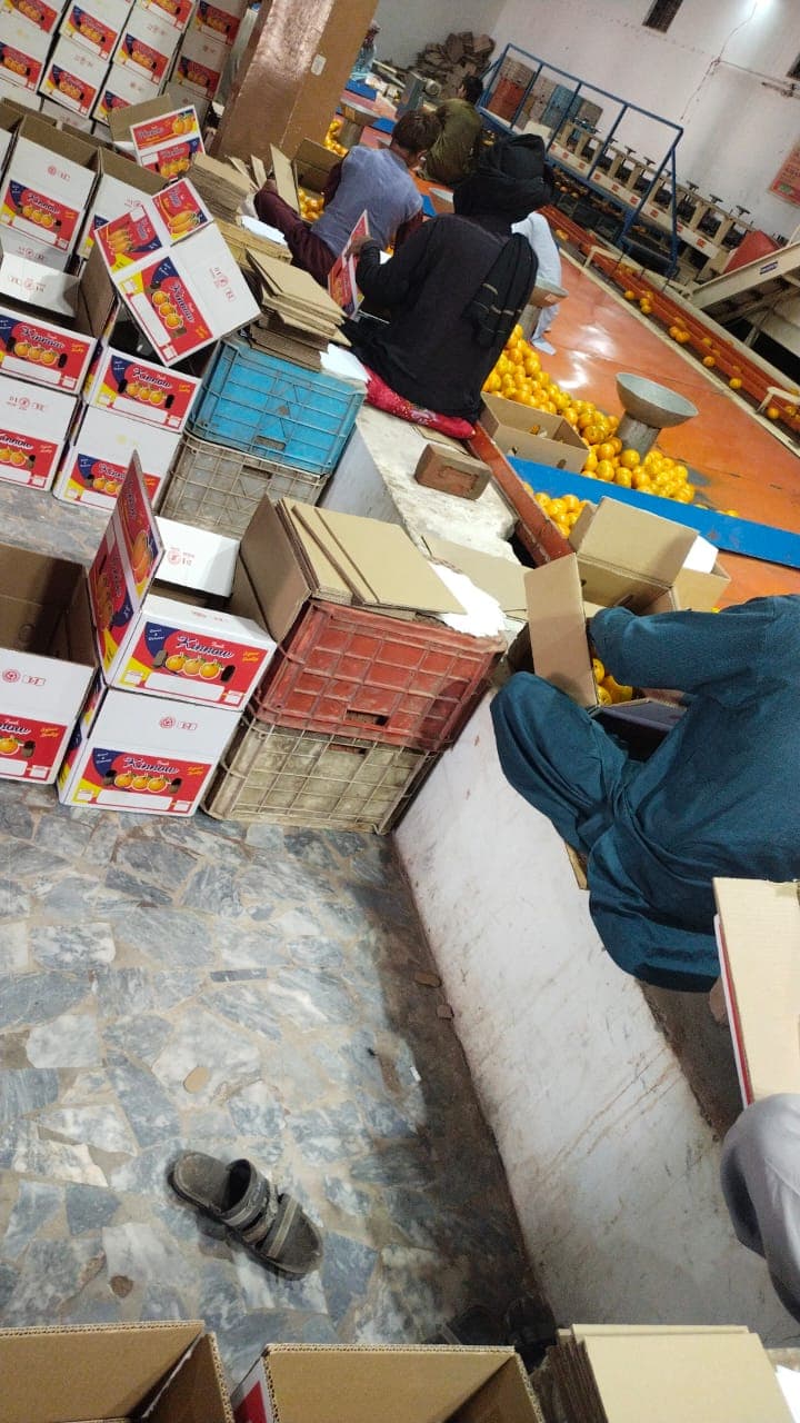 Hira Brand Gallery 21