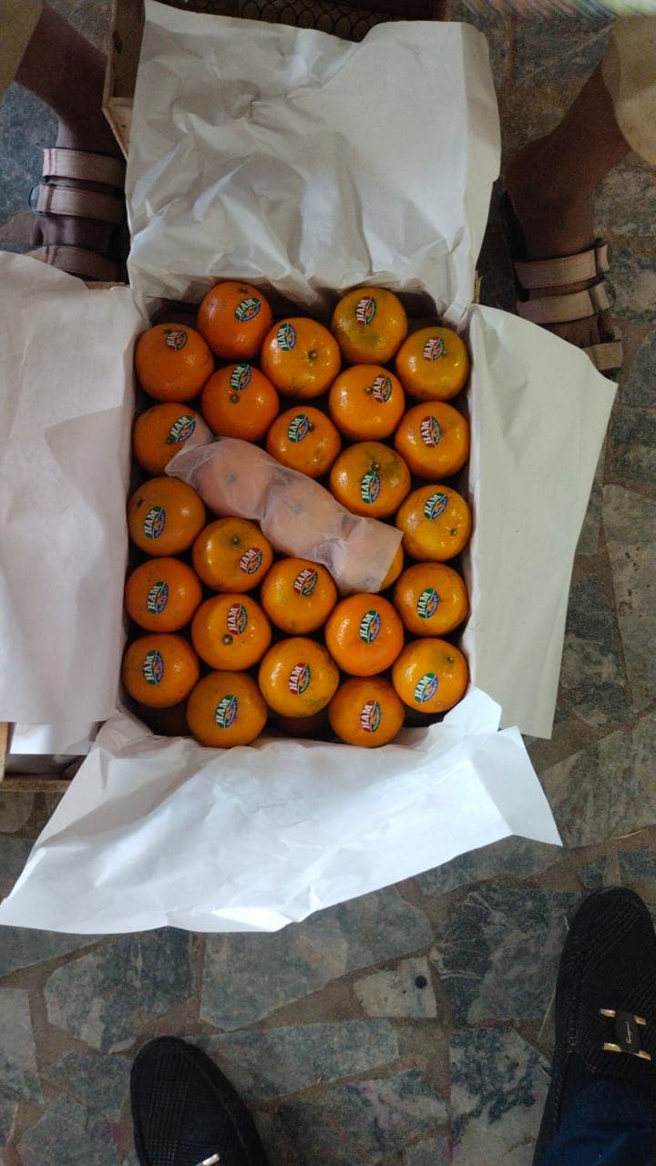 Hira Brand Gallery 20