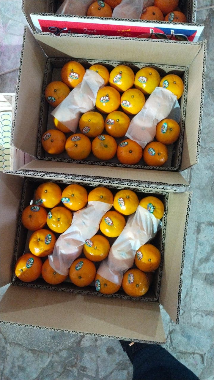 Hira Brand Gallery 19