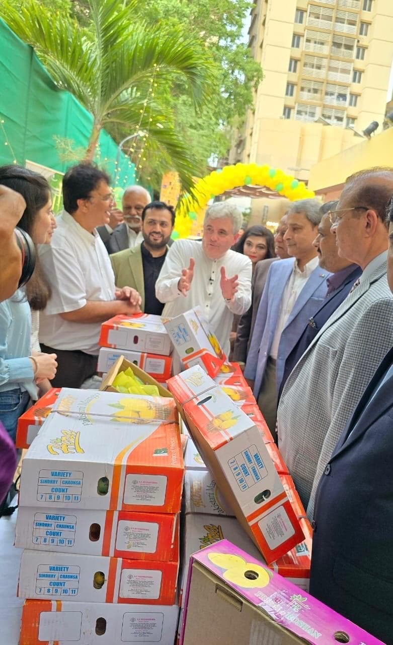 Hira Brand Gallery 35