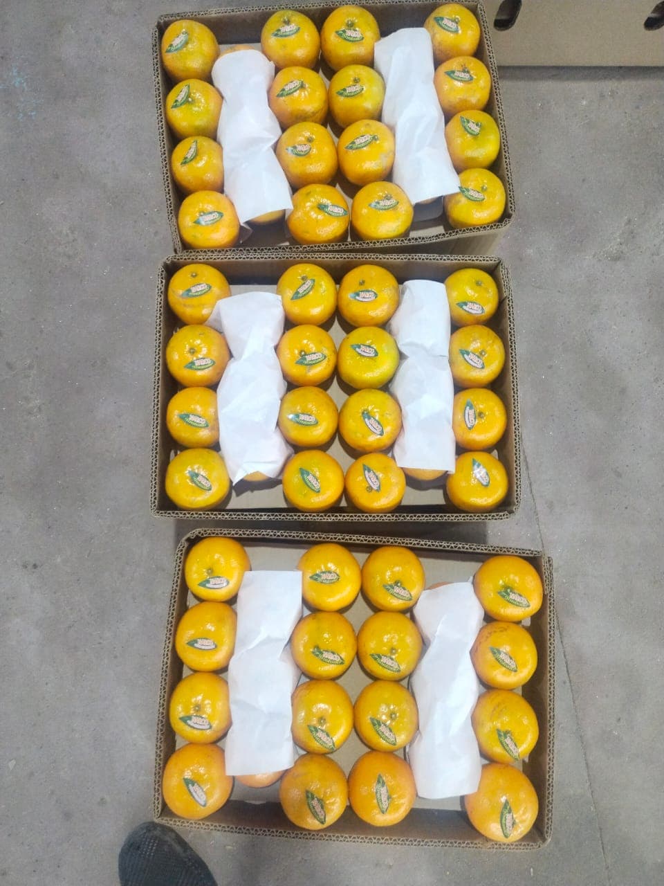 Hira Brand Gallery 16