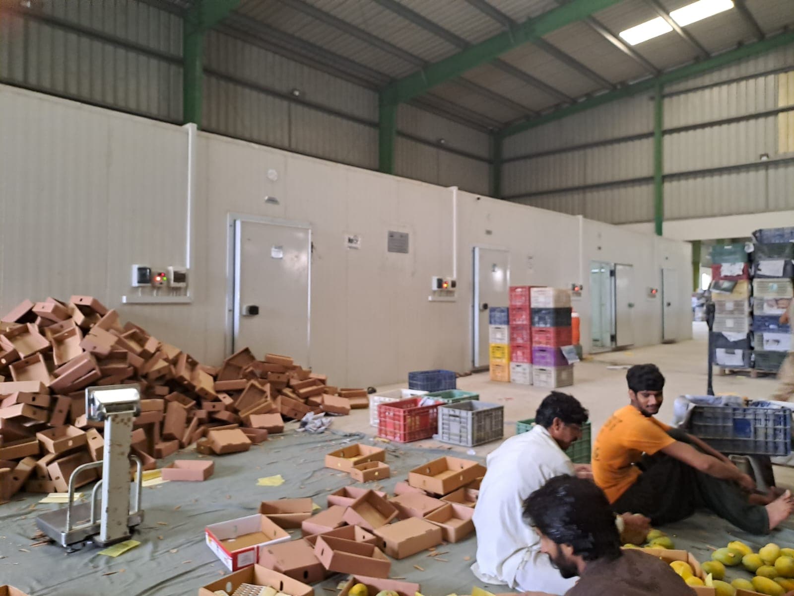 Hira Brand Gallery 15