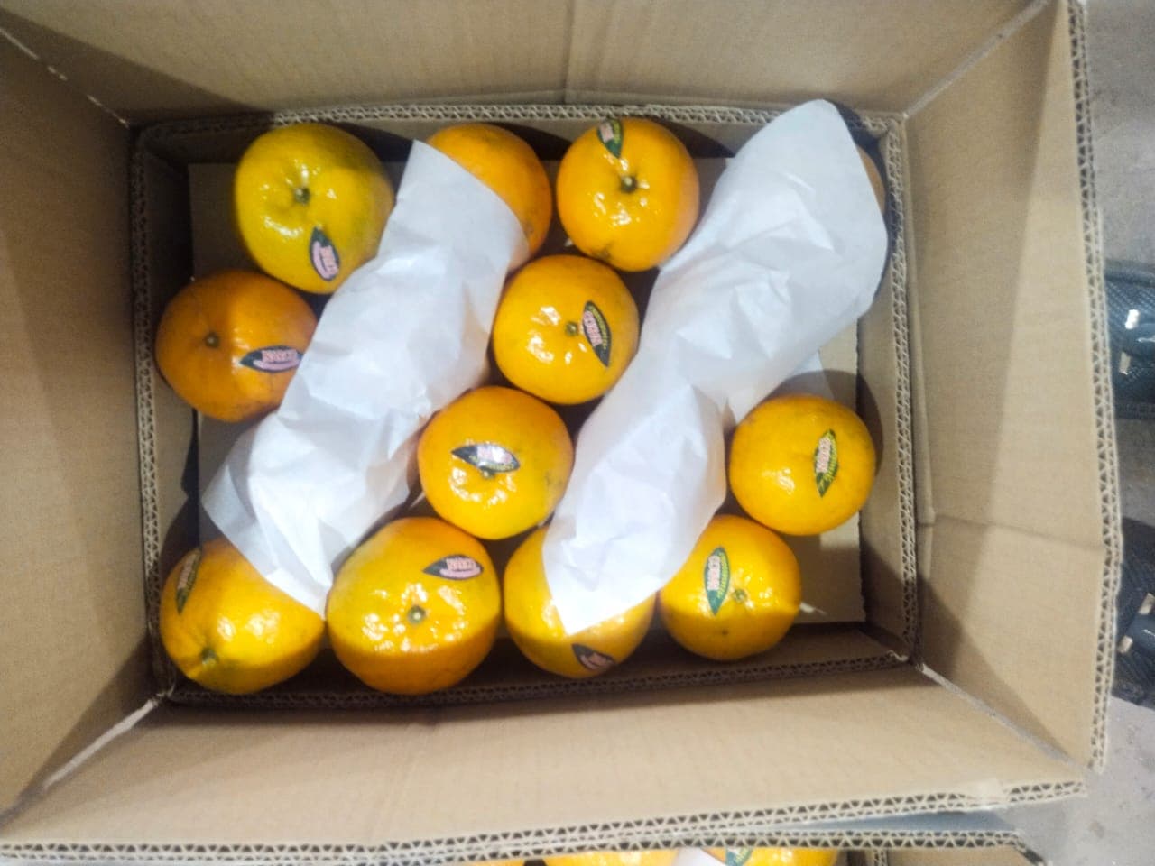 Hira Brand Gallery 14