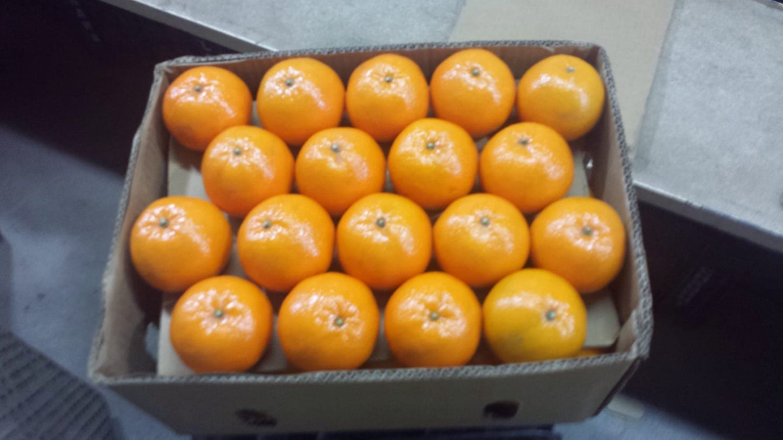 Hira Brand Gallery 9