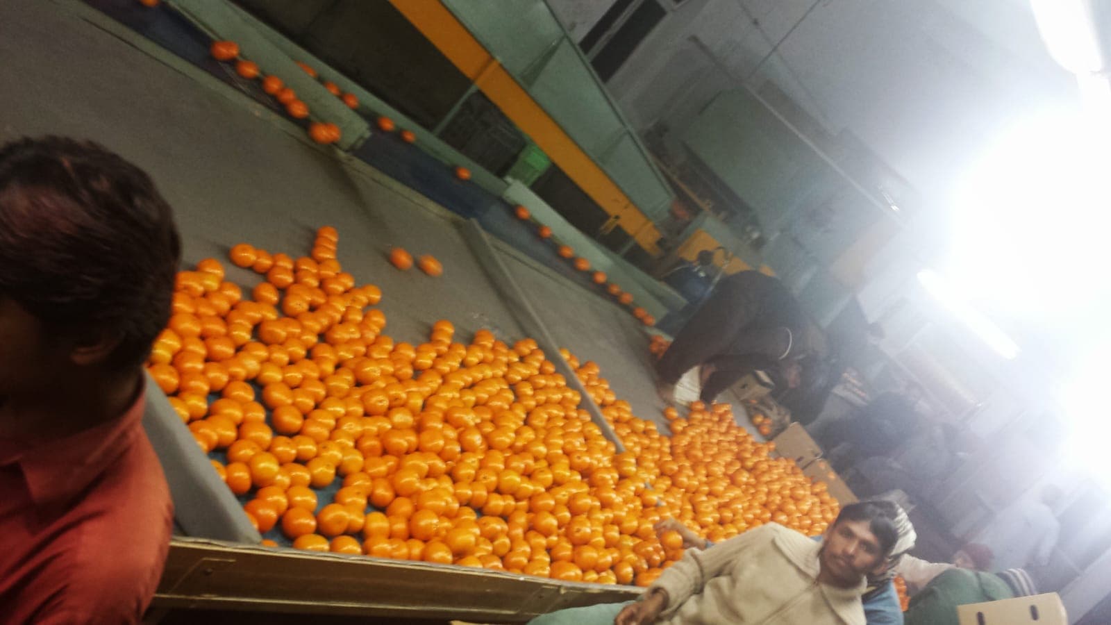 Hira Brand Gallery 8