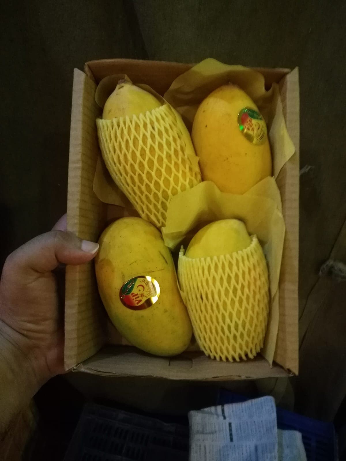 Hira Brand Gallery 2