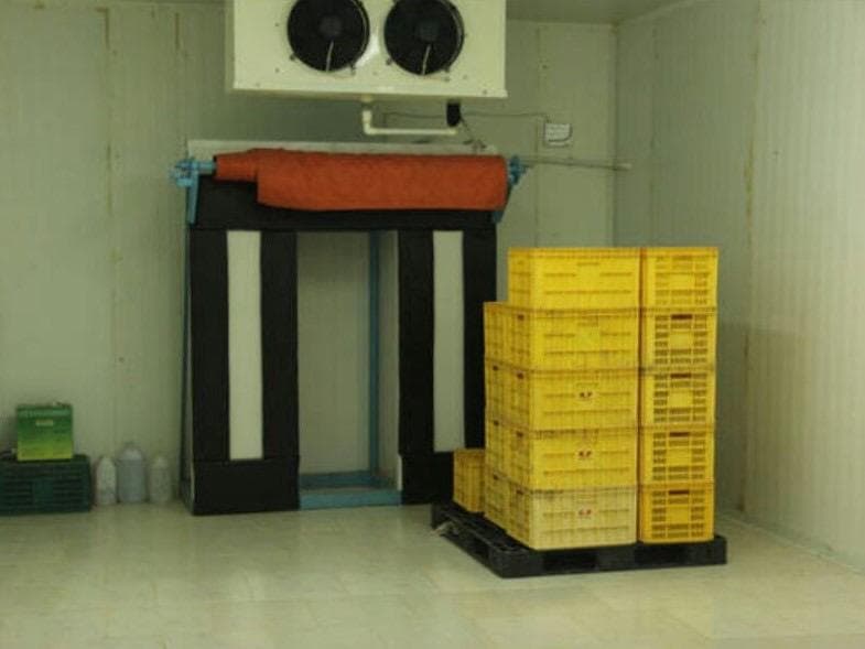 Hira Brand Gallery 32