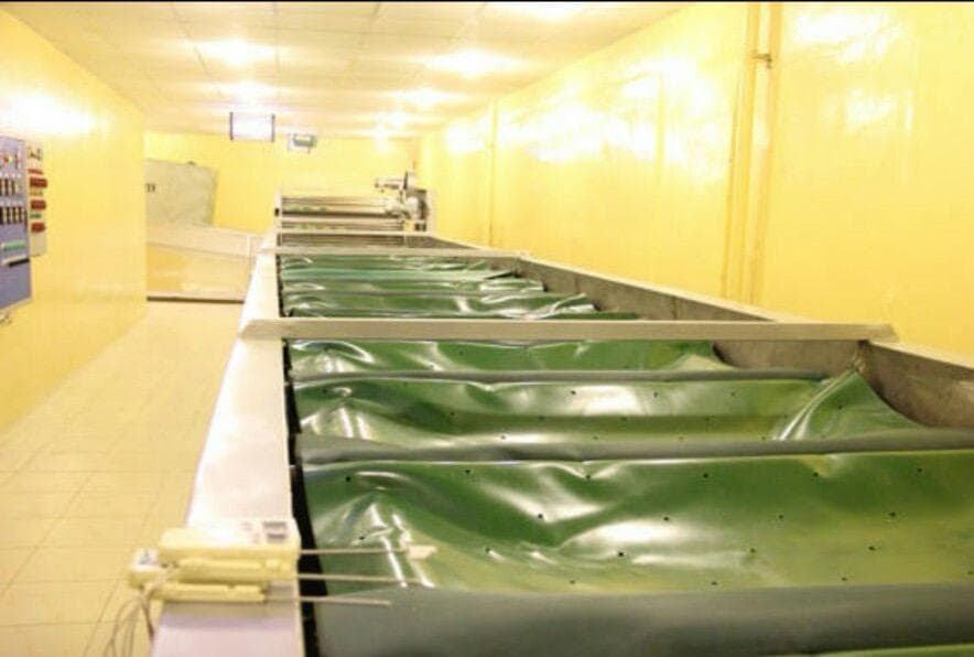 Hira Brand Gallery 31