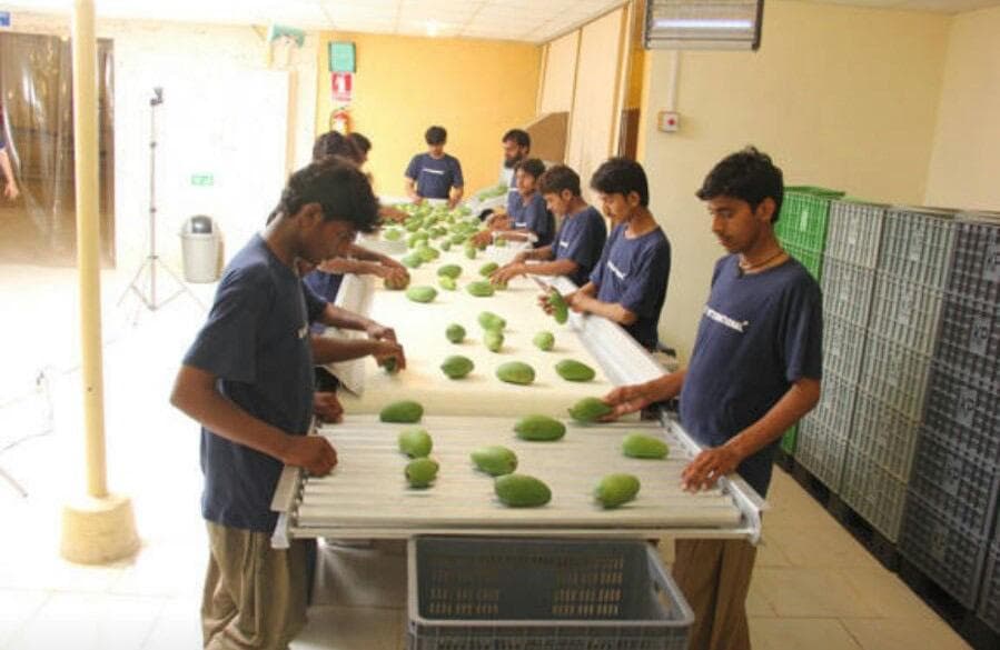 Hira Brand Gallery 29